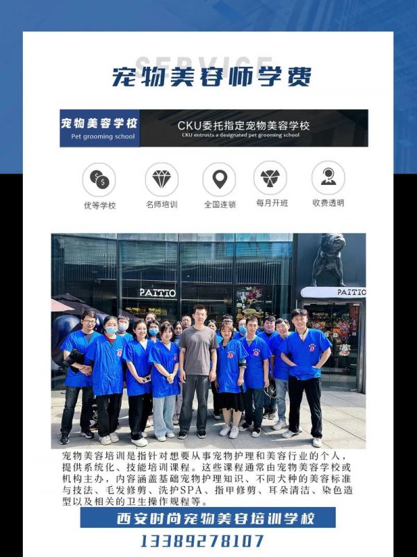 考个宠物美容师证得花多少钱