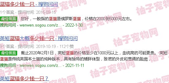 宠物店蓝猫多少钱一只