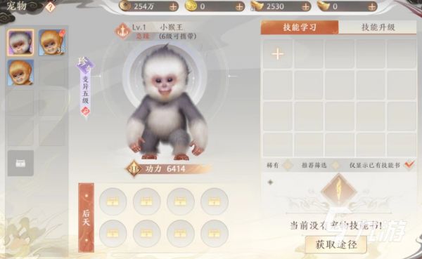 天龙八部2手游技能书怎么获取 技能书的获取途径一览