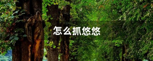 怎么抓悠悠（悠悠球详细教程)
