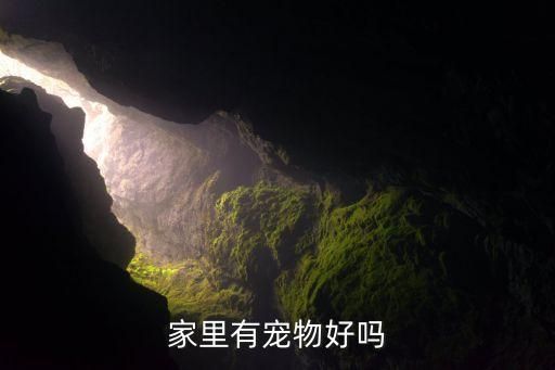 家里有宠物好吗