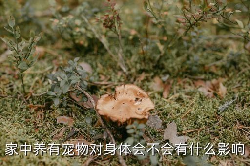家中养有宠物对身体会不会有什么影响
