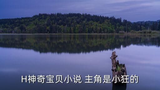 H神奇宝贝小说 主角是小狂的