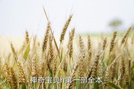 神奇宝贝h第一部全本