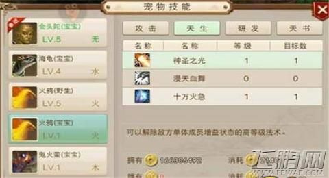 问道手游什么属性宝宝最好