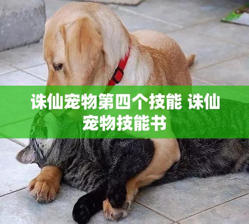 诛仙宠物第四个技能 诛仙宠物技能书