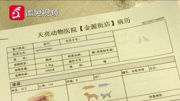 贵阳女孩1899元网购宠物猫，小猫到家3天就病死！卖家：只能吃我家猫粮