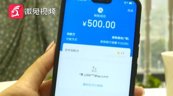 贵阳女孩1899元网购宠物猫，小猫到家3天就病死！卖家：只能吃我家猫粮
