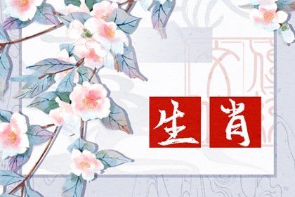 金榜题名是什么生肖 金榜题名打一动物