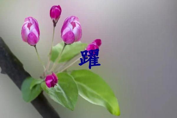躍