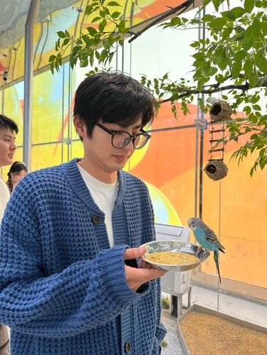 长沙的‼️超级鸟局‼️都收到通知了嘛⁉️