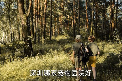 深圳哪家宠物医院好