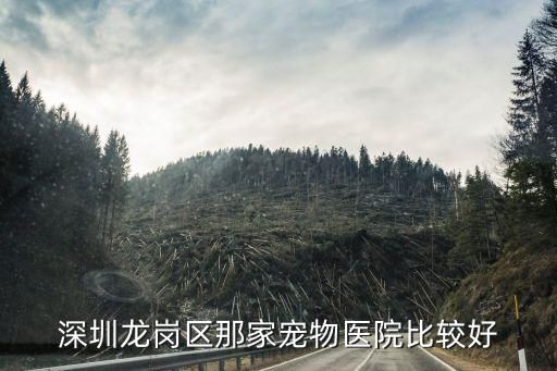 深圳龙岗区那家宠物医院比较好