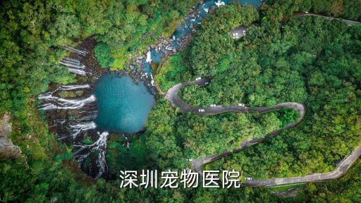 深圳宠物医院