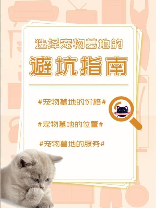 宠物墓园服务至上（宠物墓地价格表）