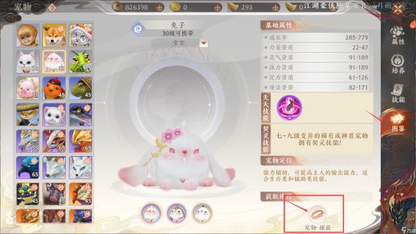 天龙八部2宠物怎么获得-宠物获取途径