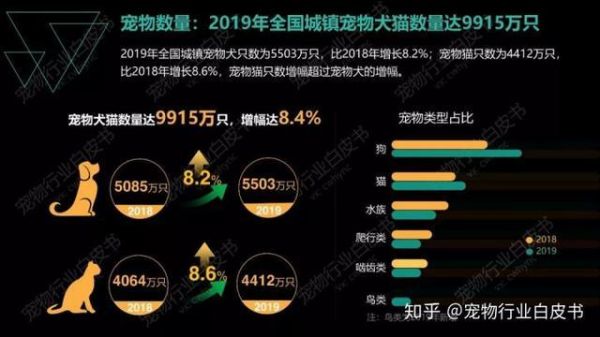 养宠物这件事，劝你慎重考虑下