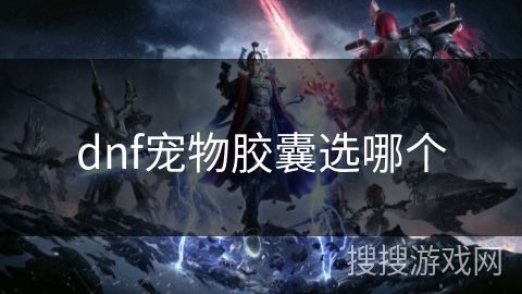 dnf宠物胶囊选哪个