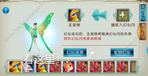 诛仙手游宠物怎么幻化 宠物幻化技巧讲解图片1