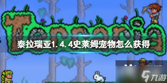 泰拉瑞亚1.4.4史莱姆宠物怎么获得
