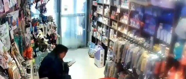 宠物店内女顾客怒摔泄愤，只因为退猫被拒，理由更是奇葩