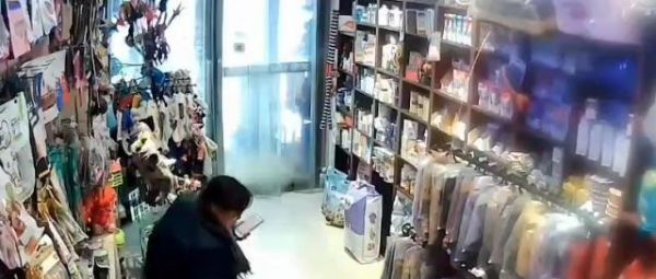 宠物店内女顾客怒摔泄愤，只因为退猫被拒，理由更是奇葩