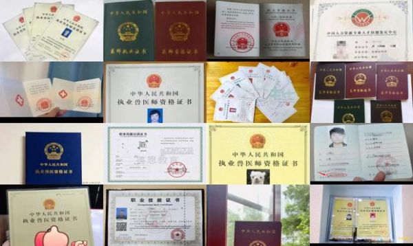 自己考宠物医师资格证