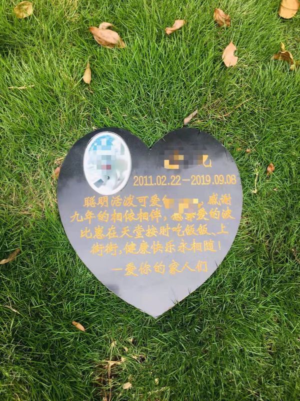 广州宠物火化电话