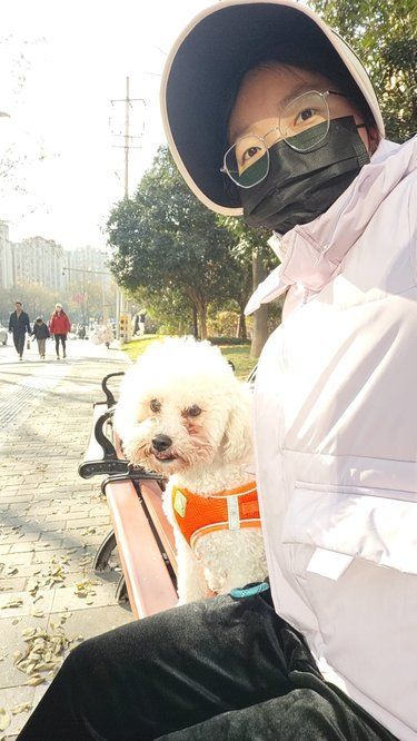 一家很nice的狗狗洗澡店