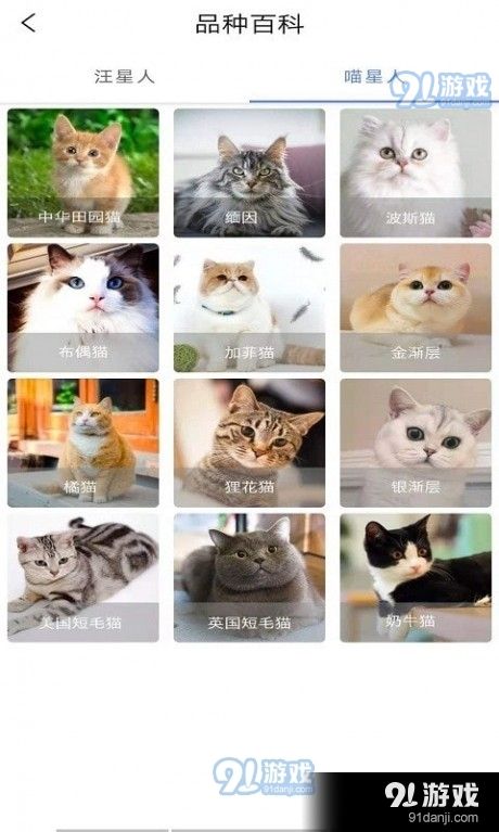 宠物知识全书