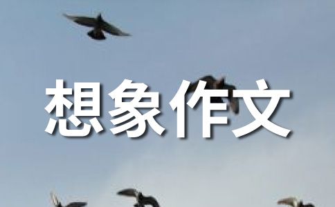 我在网上养QQ宠物的感受
