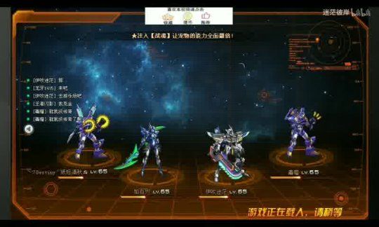 宠物小花 开服点攻略全解析