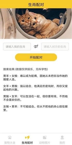 猫狗宠物大全app