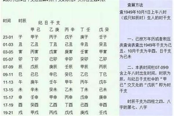 生肖龙适合养什么宠物狗呢