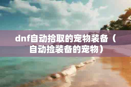 dnf自动拾取的宠物装备（自动捡装备的宠物）