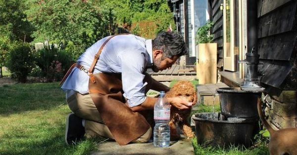英国顶级奢侈宠物酒店，仅住宿费一天就525元，只服务15只狗