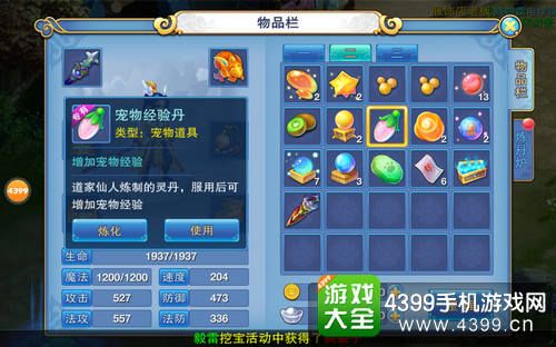 仙语宠物经验丹