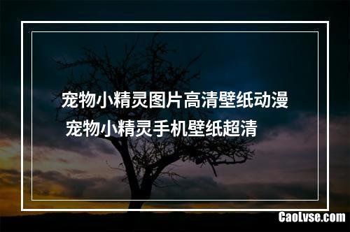 宠物小精灵图片高清壁纸动漫 宠物小精灵手机壁纸超清