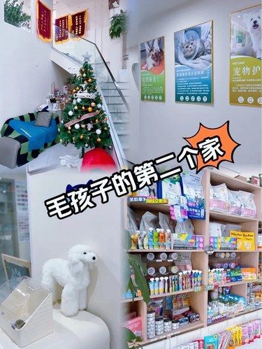 带毛孩子来宠物医院做SPA[狗头]