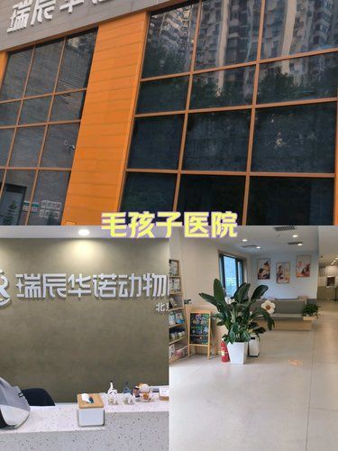 让人揪心的一天[流泪]
