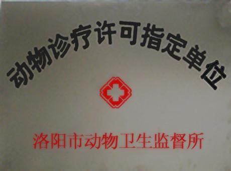 动物治疗*单位
