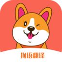 狗狗语交流翻译
