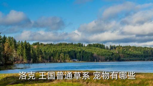  洛克 王国普通草系 宠物有哪些