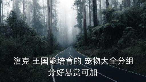  洛克 王国能培育的 宠物大全分组分好悬赏可加