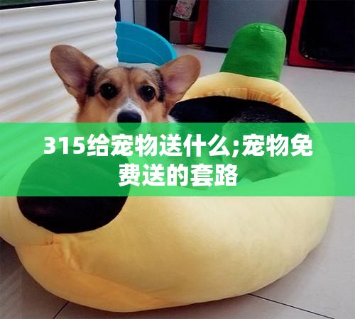 315给宠物送什么;宠物免费送的套路