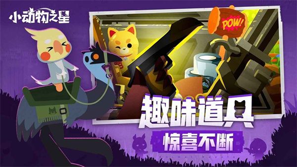小动物之星2024