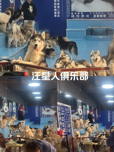 好可爱又好可怕[捂脸][捂脸]