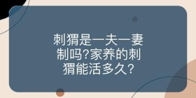 刺猬是一夫一妻制吗?家养的刺猬能活多久?