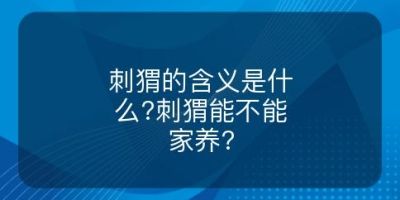 刺猬的含义是什么?刺猬能不能家养?