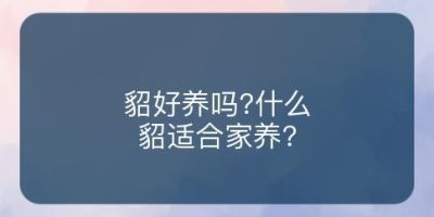 貂好养吗?什么貂适合家养?